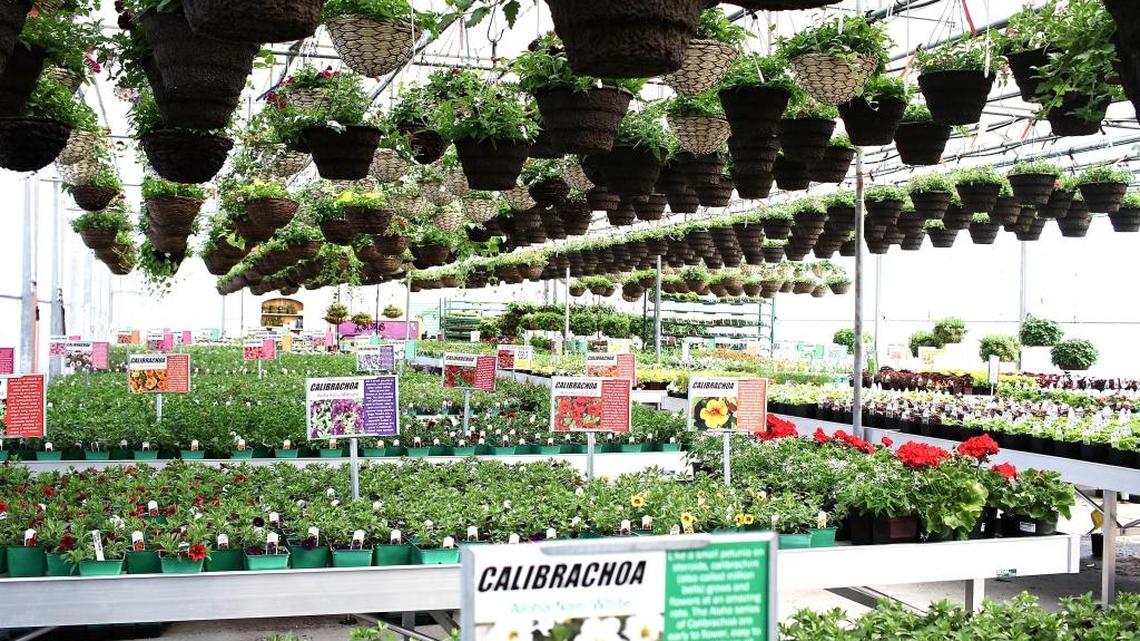 From landscaping products and houseplants to garden necessities and home decor, Beaver Bark has everything you need under one roof.