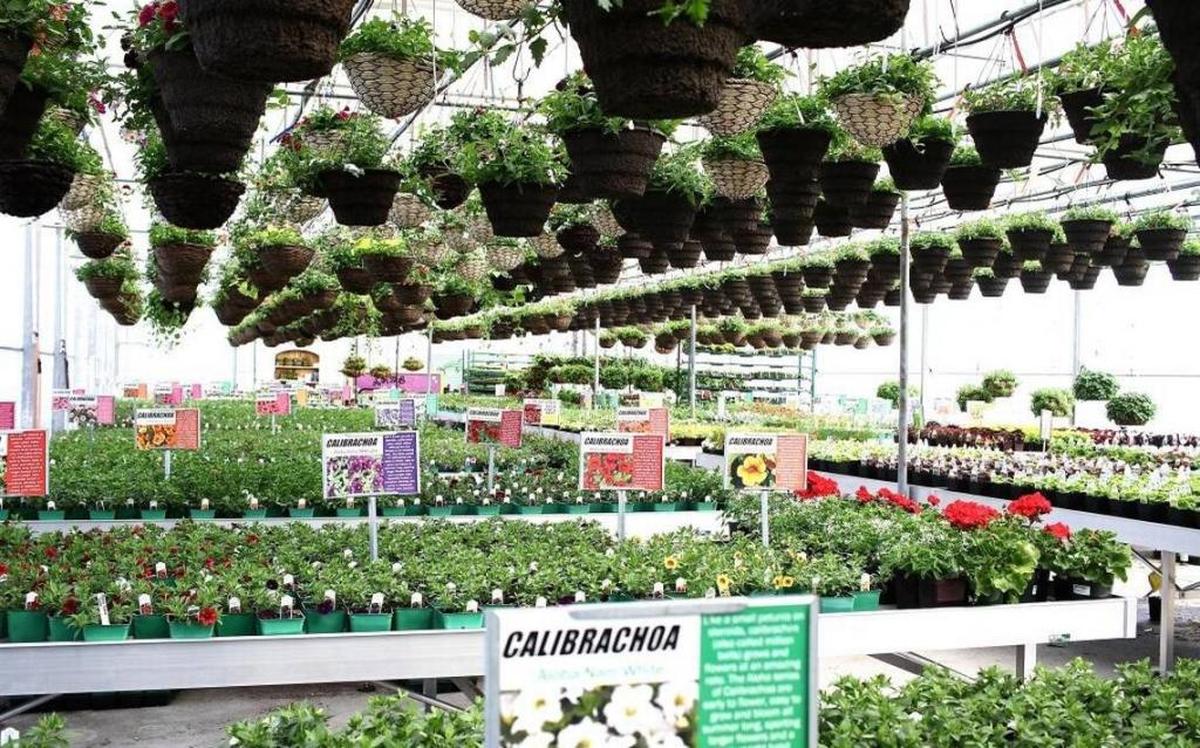From landscaping products and houseplants to garden necessities and home decor, Beaver Bark has everything you need under one roof.