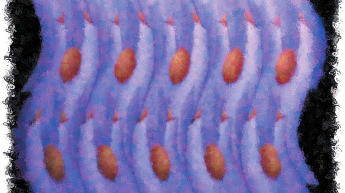 300 dpi 4 col x 9.25 in / 196x235 mm / 667x799 pixels Steve Wilson color illustration of a church choir. Fort Worth Star-Telegram 2001