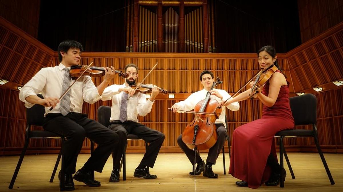 The Telegraph Quartet will peform Feb. 18 in Richland as part of Camerata Musica’s series.