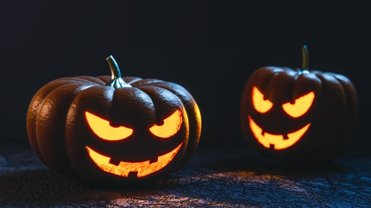 From hay rides and corn mazes to haunted houses and even a haunted forest, plenty of fun and spooky activities are planned around the Tri-Cities as Halloween approaches.