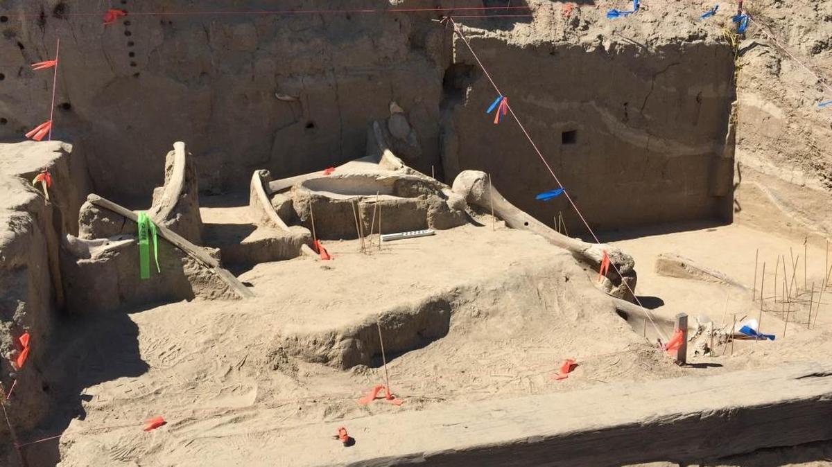 A tour of Coyote Canyon Mammoth Dig and Ice Age Floods features is offered Aug. 19 through the Reach museum.