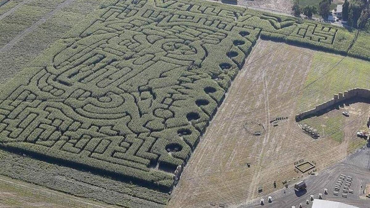 Middleton Farms Fall Festival is running every weekend in October. It includes a large corn maze and other activities.