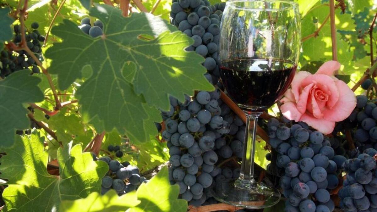
The annual Catch the Crush weekend is Oct. 10-11 in the Yakima Valley. 
