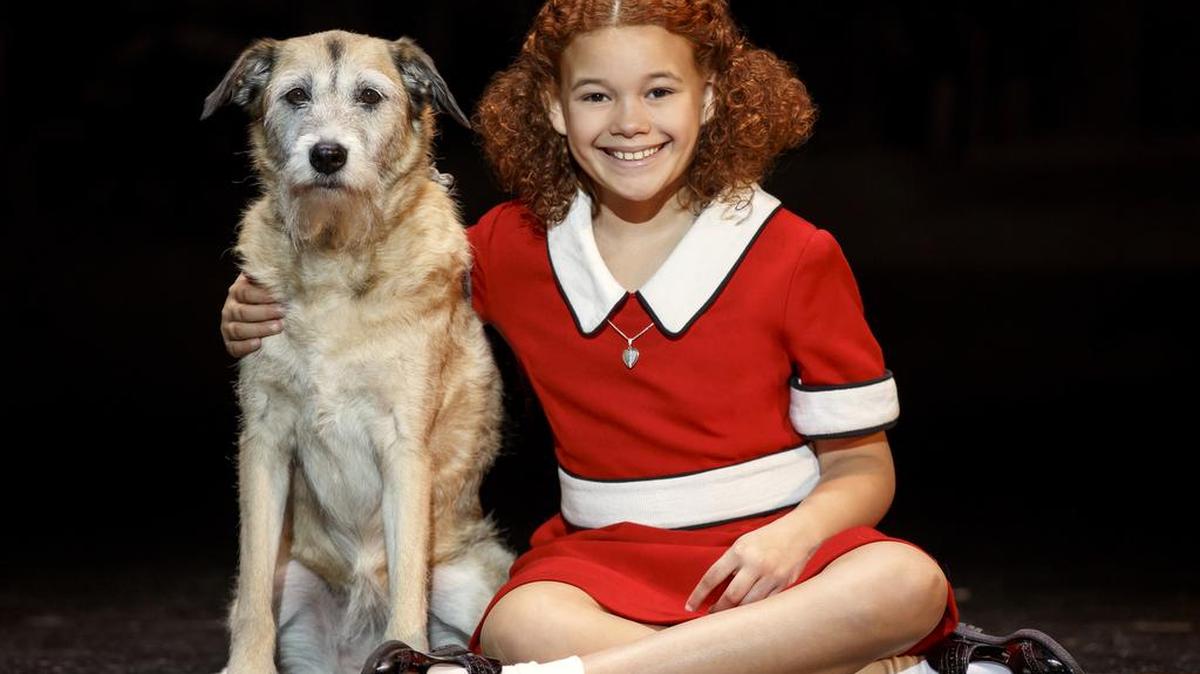 The U.S. national tour of “Annie” stops at the Toyota Center in Kennewick on Feb. 3.
