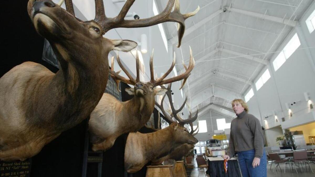 The Tri-Cities Sportsmen Show runs Jan. 20-22 at TRAC in Pasco.