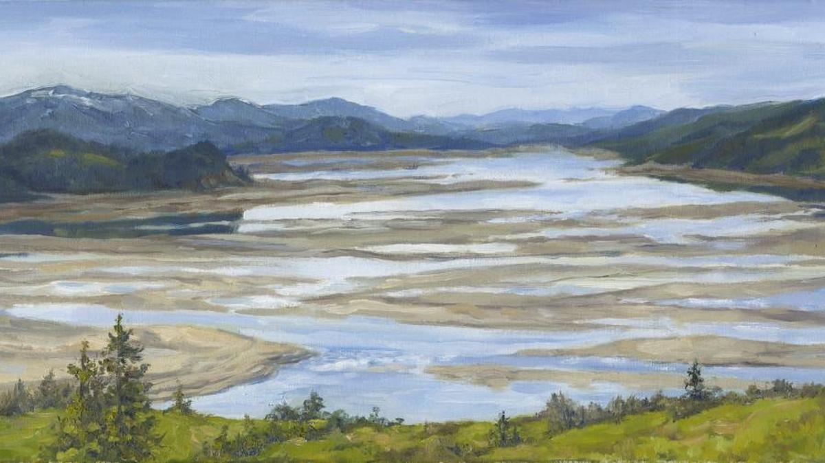 West Richland painter Leslie Ann Hauer was chosen as one of several artists in residence this year at the Lake Roosevelt National Recreation Area.