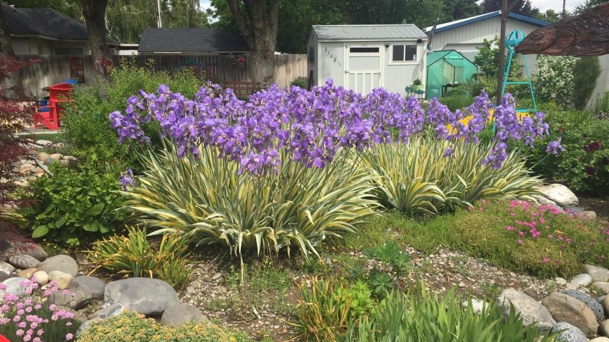 Janie Krasner’s Richland garden is part of this year’s Garden Arts Tour fundraiser.