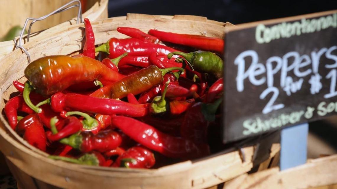 Calls emerge to investigate Tri-Cities group after disastrous audit. What comes next?