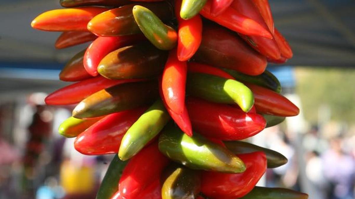 The Fiery Foods Festival is planned Sept. 10 in downtown Pasco.