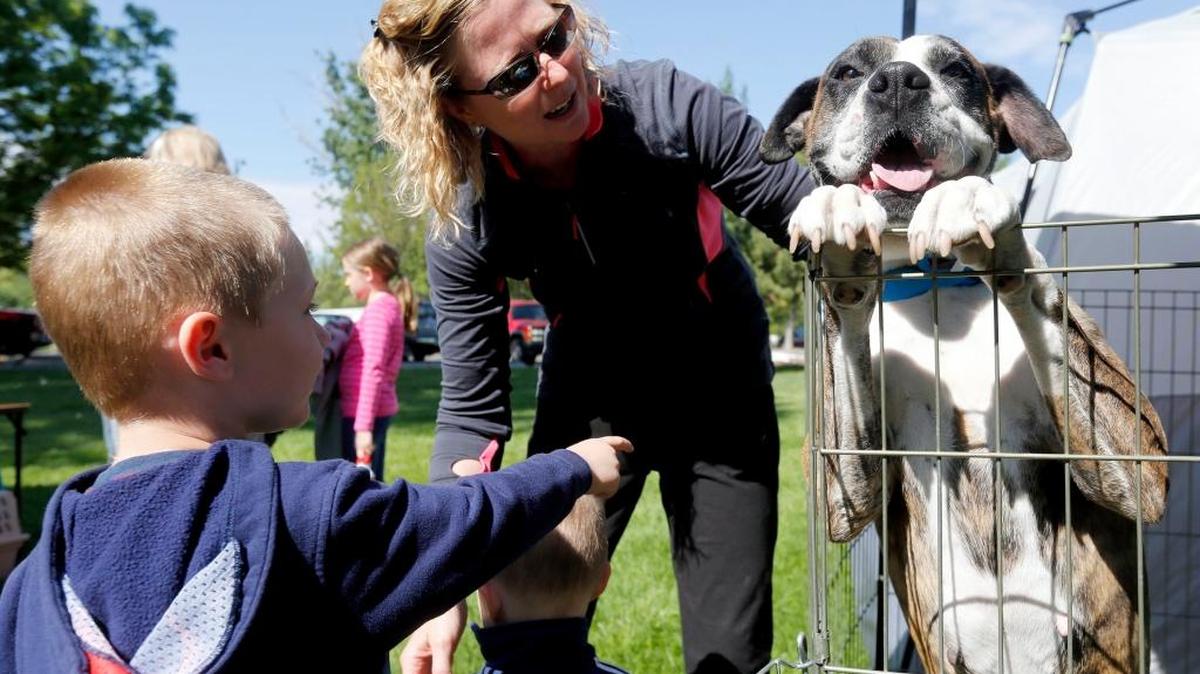 The ninth annual Jenny's Hope Super Pet Adoption event is Saturday at Columbia Park in Kennewick.