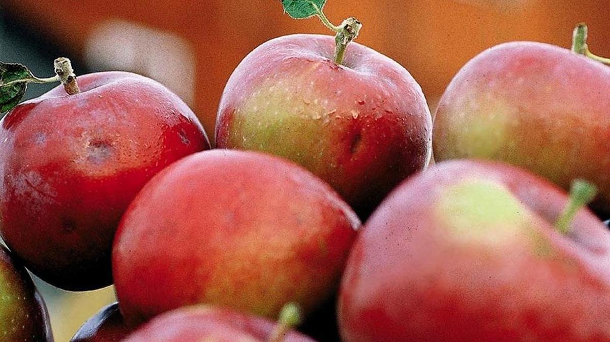 A juried photography exhibit, HARVEST: The Bounty of Washington, is on display through June at the Three Rivers Convention Center in Kennewick.