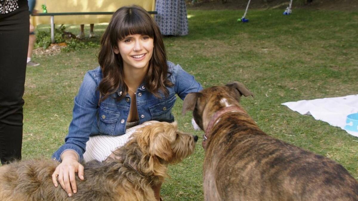 Nina Dobrev with two of her canine co-stars in “Dog Days.” The flick will be a hit with dog lovers, but probably a miss with everyone else.