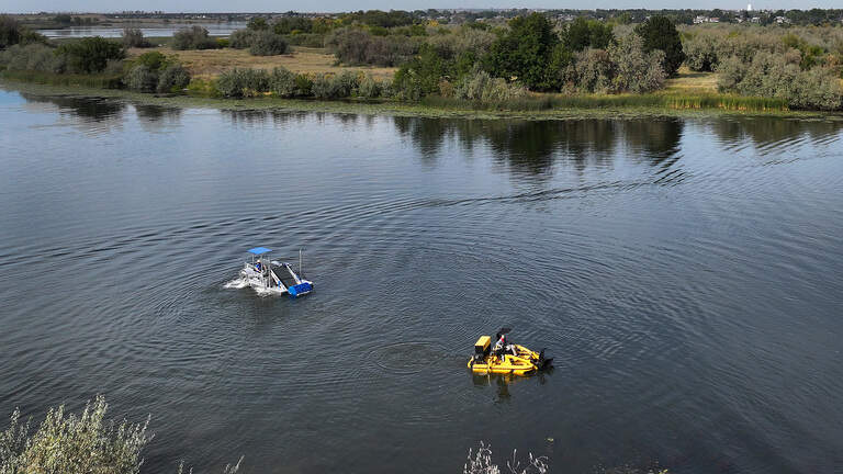 ‘Game changer.’ Tri-Cities finds new way to attack river-clogging stargrass