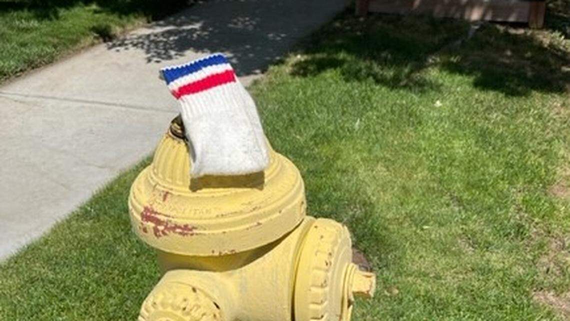 Faith | Is God aware of all his creatures? This dog found ‘paws-itive’ proof