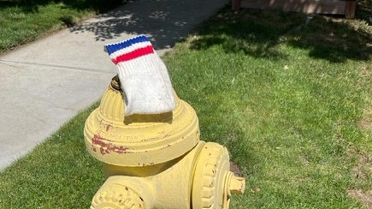 On a daily dog walk, an answer to prayer showed up in an unexpected way.