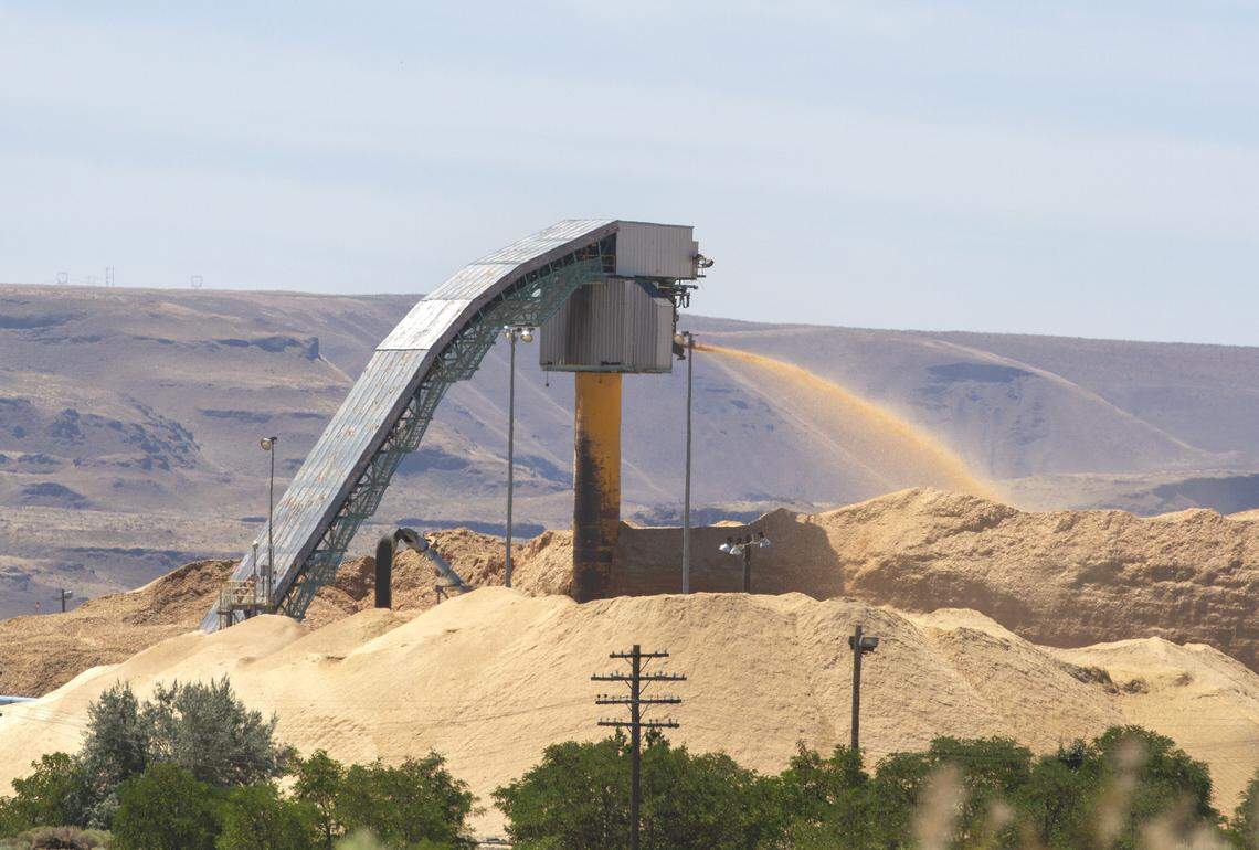 The owner of the Boise paper mill in Wallula will begin barging sawdust to the Port of Pasco to make cardboard boxes.