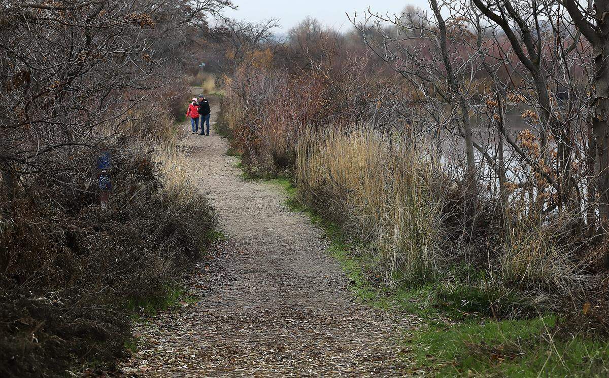 Carol and Ken Powe of Richland look at birds on the water from the Bateman Island causeway. He carries several cameras to photograph wildlife, scenic and landscapes while often hiking the site. 