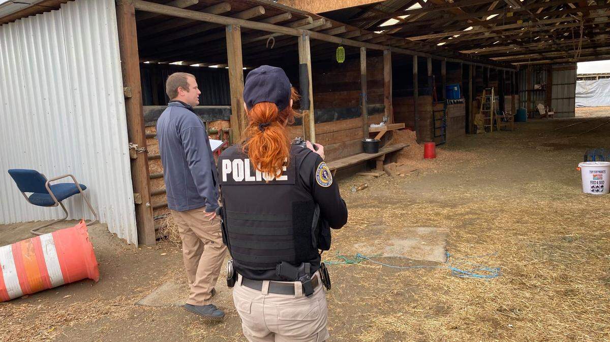 Investigators with the Washington State Gambling Commission, the Walla Walla County Sheriff’s Office and the U.S. Department of Agriculture serve a warrant on a suspected illegal horse racing operation in Burbank.