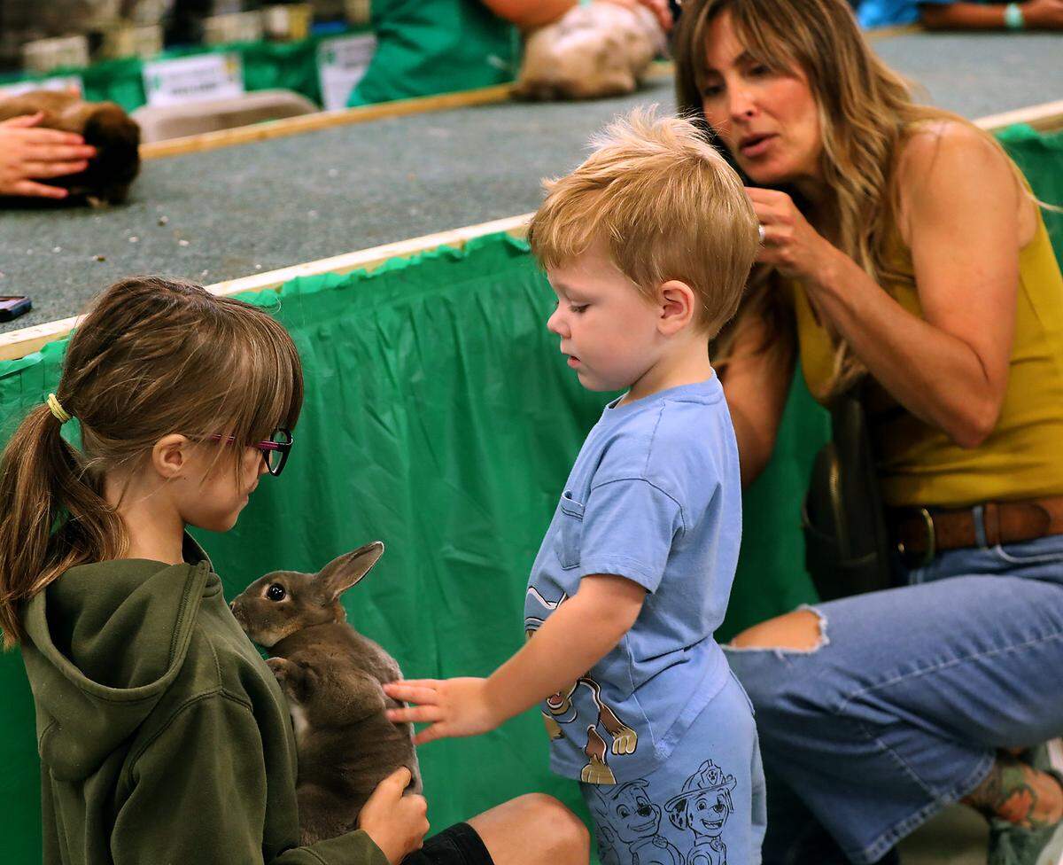 Nora Jackson lets Beau Michel, 2, pet her rabbit Tuesday morning during his first ever visit to the Benton Franklin Fair & Rodeo in Kennewick. Michel's grandmother, Tracy Hollenbeck, uses her smartphone's camera to capture a photo.