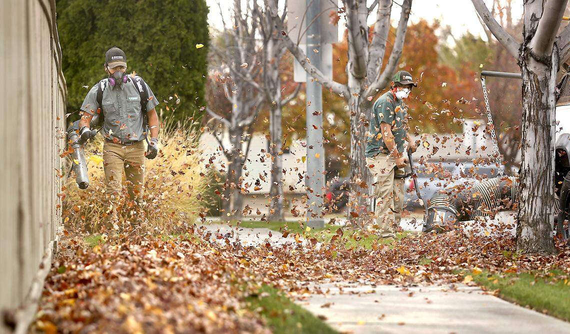 There should be plenty of leaves to clean up in the coming weekend after a wind storm forecast for the Tri-Cities on Friday.