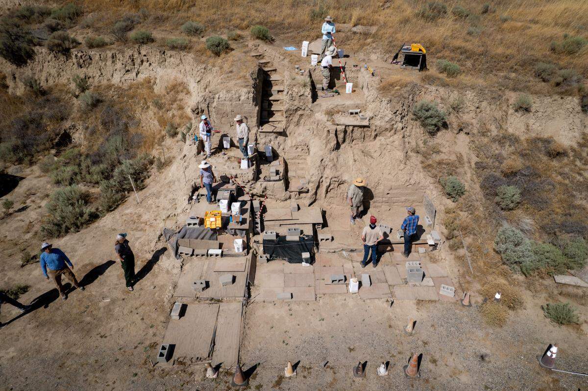 Tickets for spring 2025 tours of the MCBONES Coyote Canyon Mammoth Site near Kennewick, Wash., go on sale Jan. 2. The bones of an ice age mammoth are being unearthed.