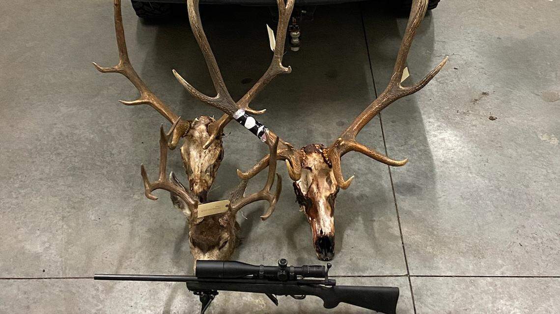 E. Oregon man to pay $75,000 fine, serve jail time after poaching trophy animals