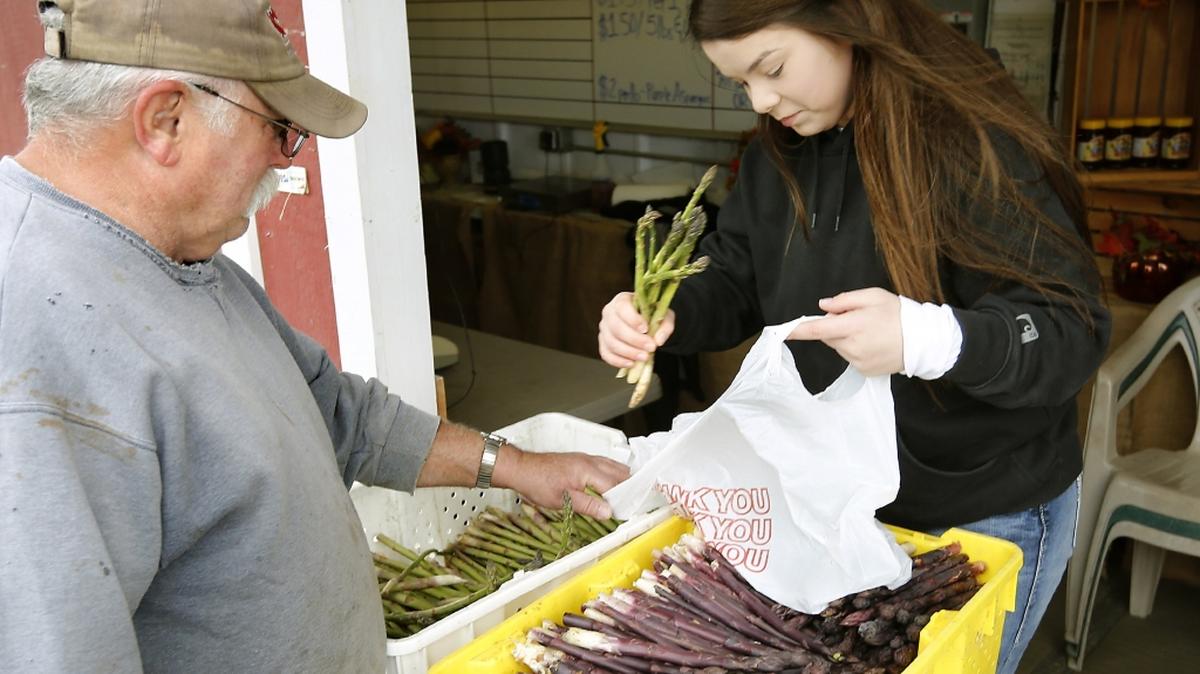 Amber Garza fills a bag with fresh cut asparagus at Middleton Farms in this 2018 file photo.