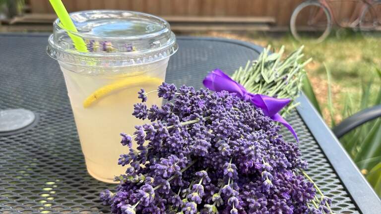 It’s officially lavender season. Eastern WA fields are scent-sational and tasty