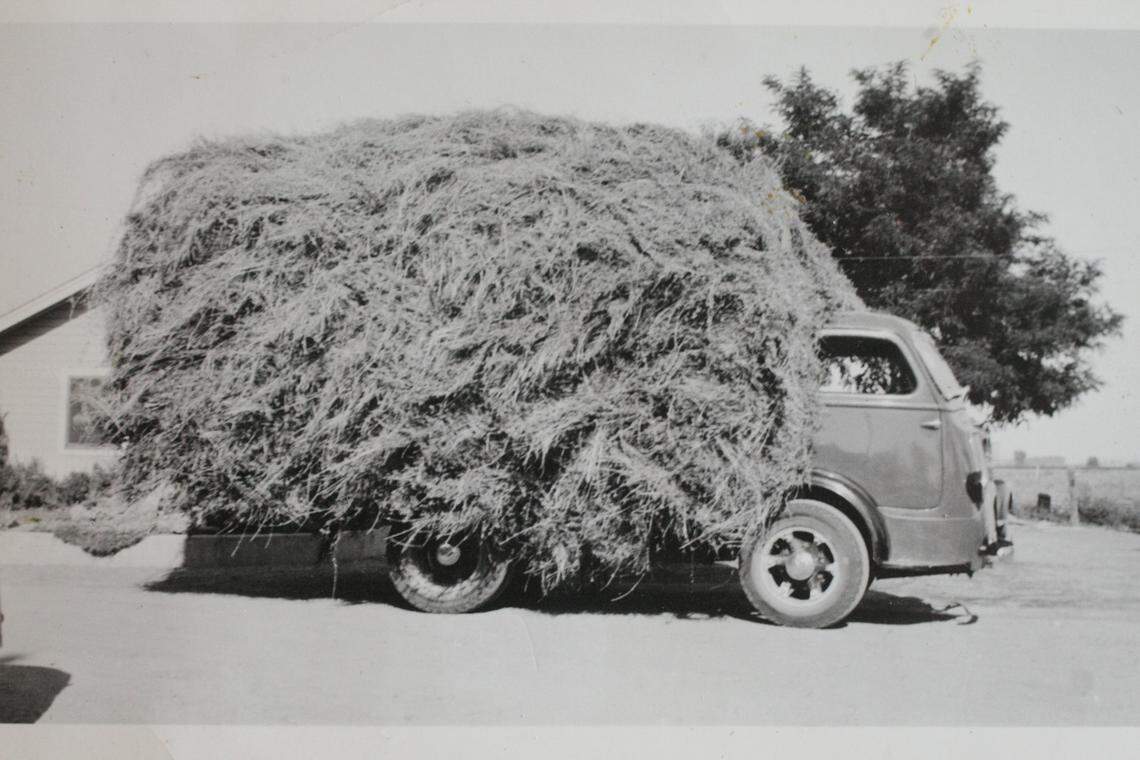 Historic photos from the Harris family farm.