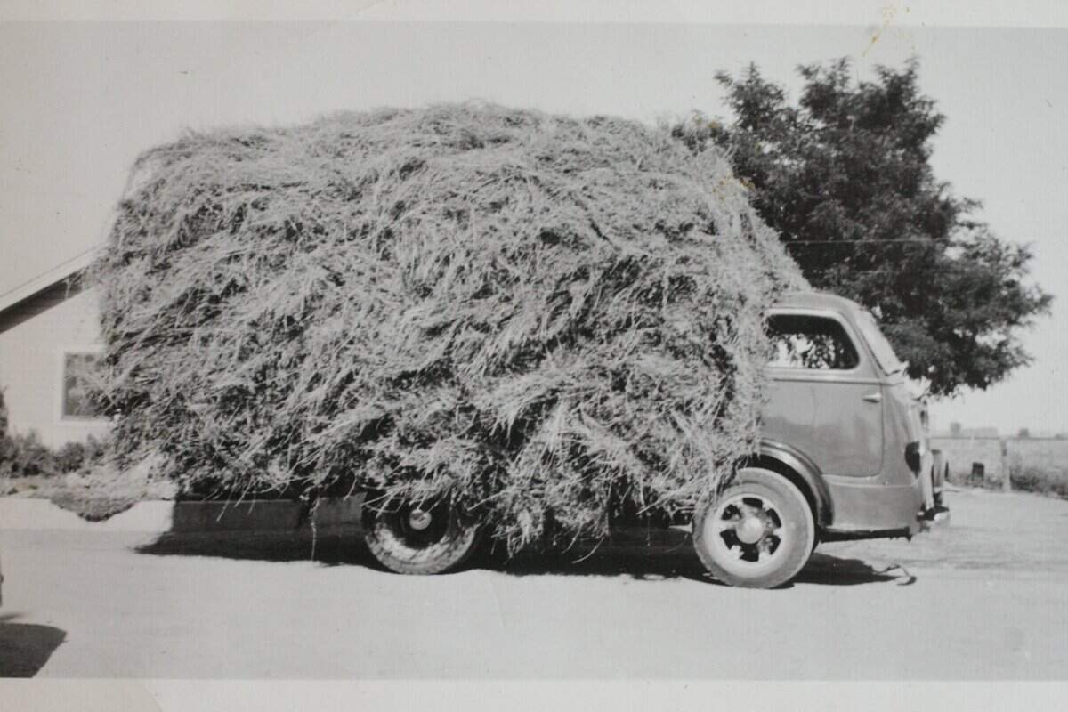Historic photos from the Harris family farm.