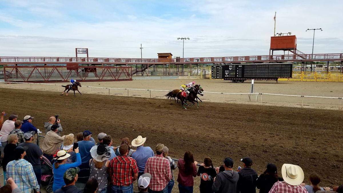 A horse race at Sundowns Horse Racing track at the Benton County Fairgrounds.