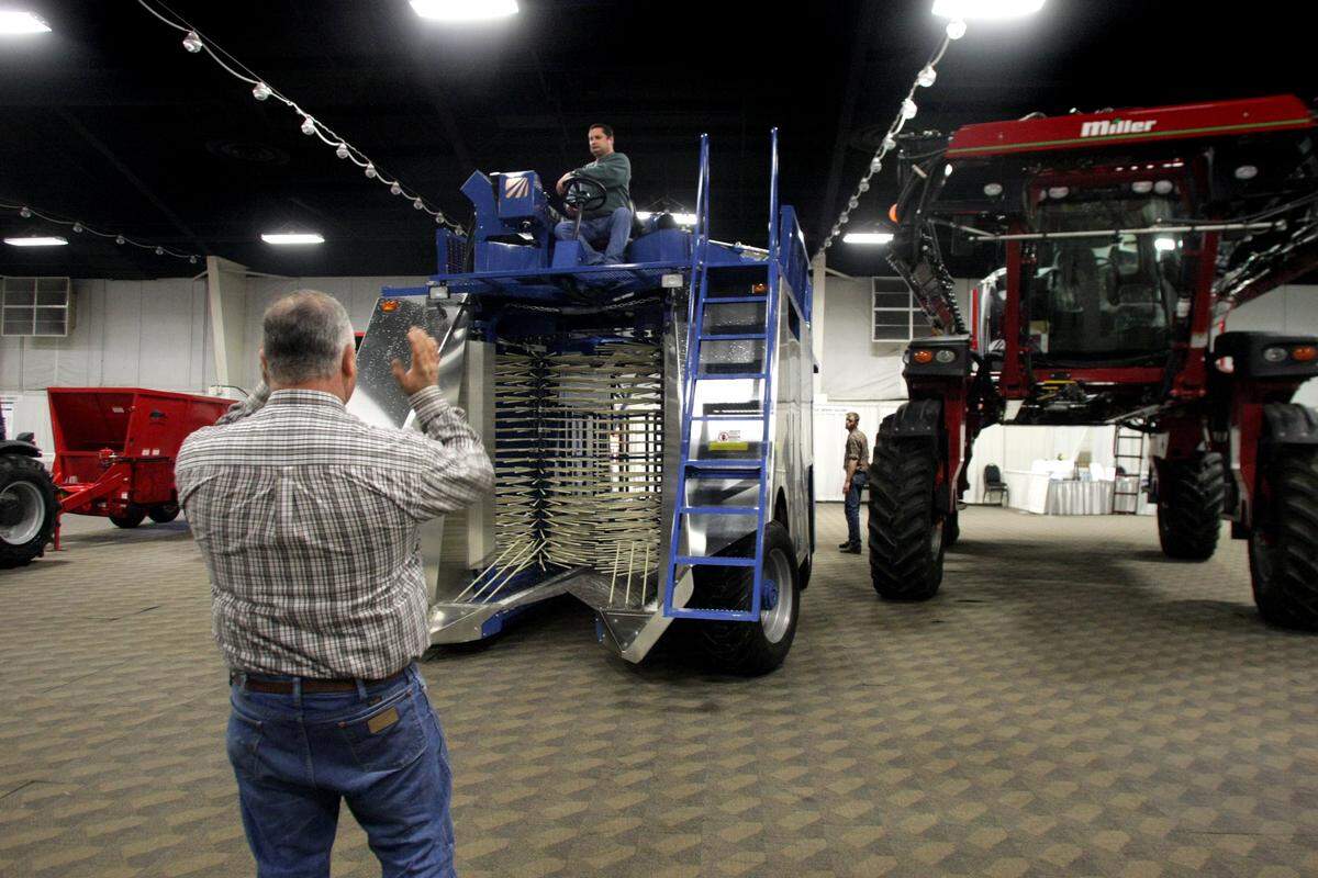 About 70 percent of Washington’s 140 million pounds of blueberries will be harvested by machine.