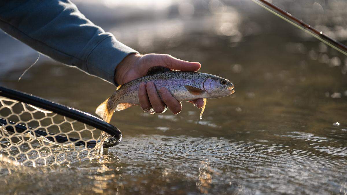 More than 800 prizes worth over $42,000 will be waiting to be caught in over 100 lakes around the state on April 27.