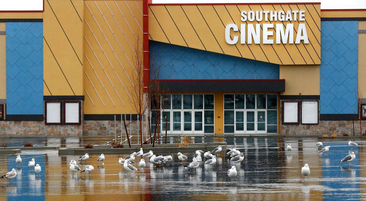 A flock of gulls congregate in the empty parking lot of the Fairchild Southgate Cinema on the day after Washington Gov. Jay Inslee announced new statewide rules restricting movie theaters, dining, retail and other businesses during the ongoing coronavirus pandemic. The local movie theaters, which just recently re-opened, will have to close to indoor activities until at least Dec. 14 under his most recent mandate.