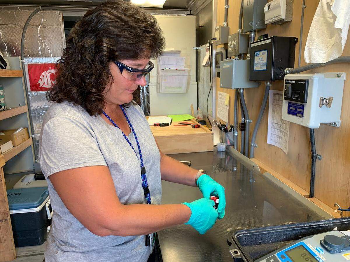 Christina Aguilar with Hanford contractor CH2M Hill Plateau Remediation Co. prepares a groundwater sample taken from a well where a new way of removing chromium pollution is being tested.