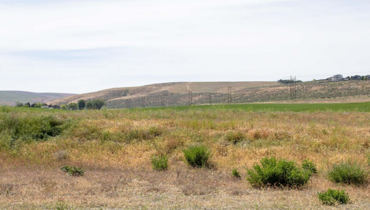 Shown is a photo simulation of the proposed South of Tri-Cities Reinforcement Project transmission line if the canal option is picked as its route.
