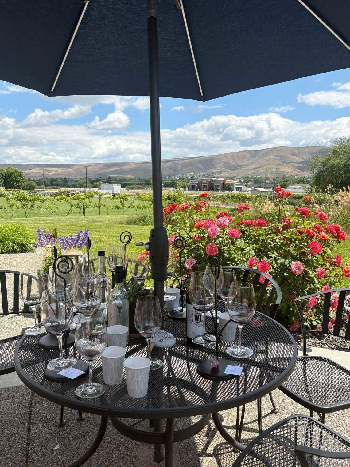 Views from the WIT Cellars patio, following the departure of frequent visitors who tried a couple wine flights.