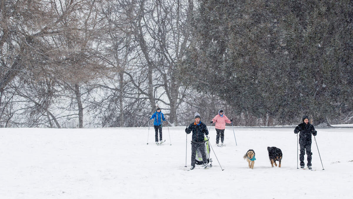 Some cross country skiers took advantage of the weekend snowfall in Leslie Groves Park in Richland on Sunday. The National Weather Service increased its forecast for snow in the Tri-Cities to another 3 to 4 inches from Sunday morning through Tuesday afternoon.
