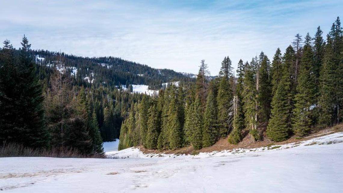 Snow-starved Ski Bluewood closes down until flakes fly again