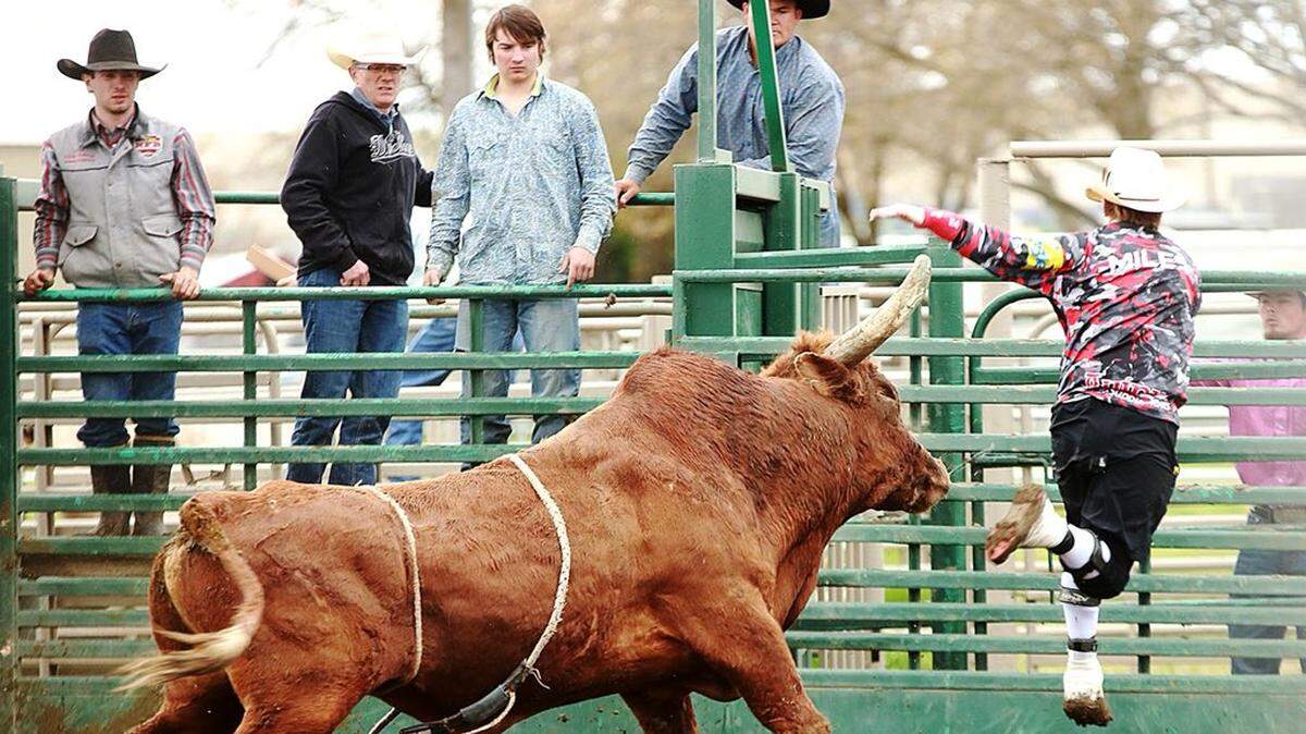 Kennewick bullfighter Miles Barry flies through the air after being hit from behind by Flipper at a college rodeo Sunday in Milton-Freewater.