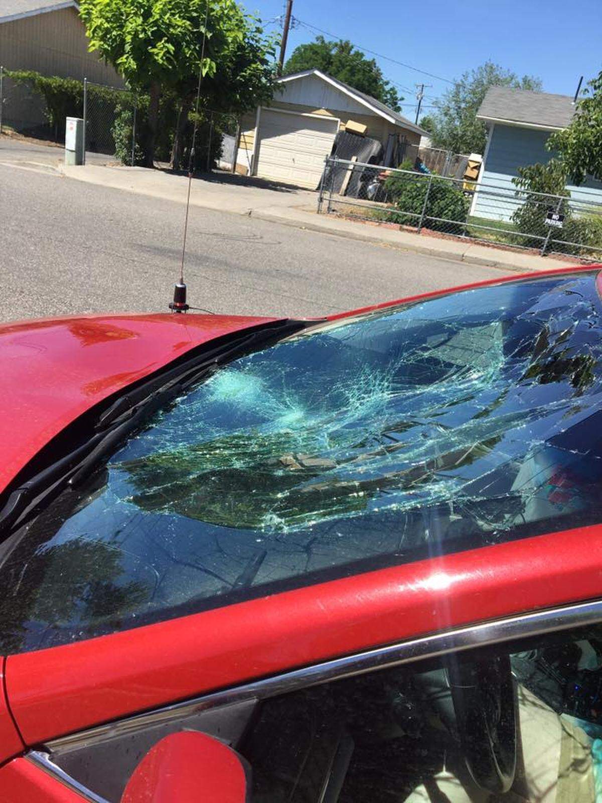 A Pasco skateboarder suffered minor injuries after he hit the windshield of this car shortly after 2 p.m. Tuesday. The crash also killed two dogs.
