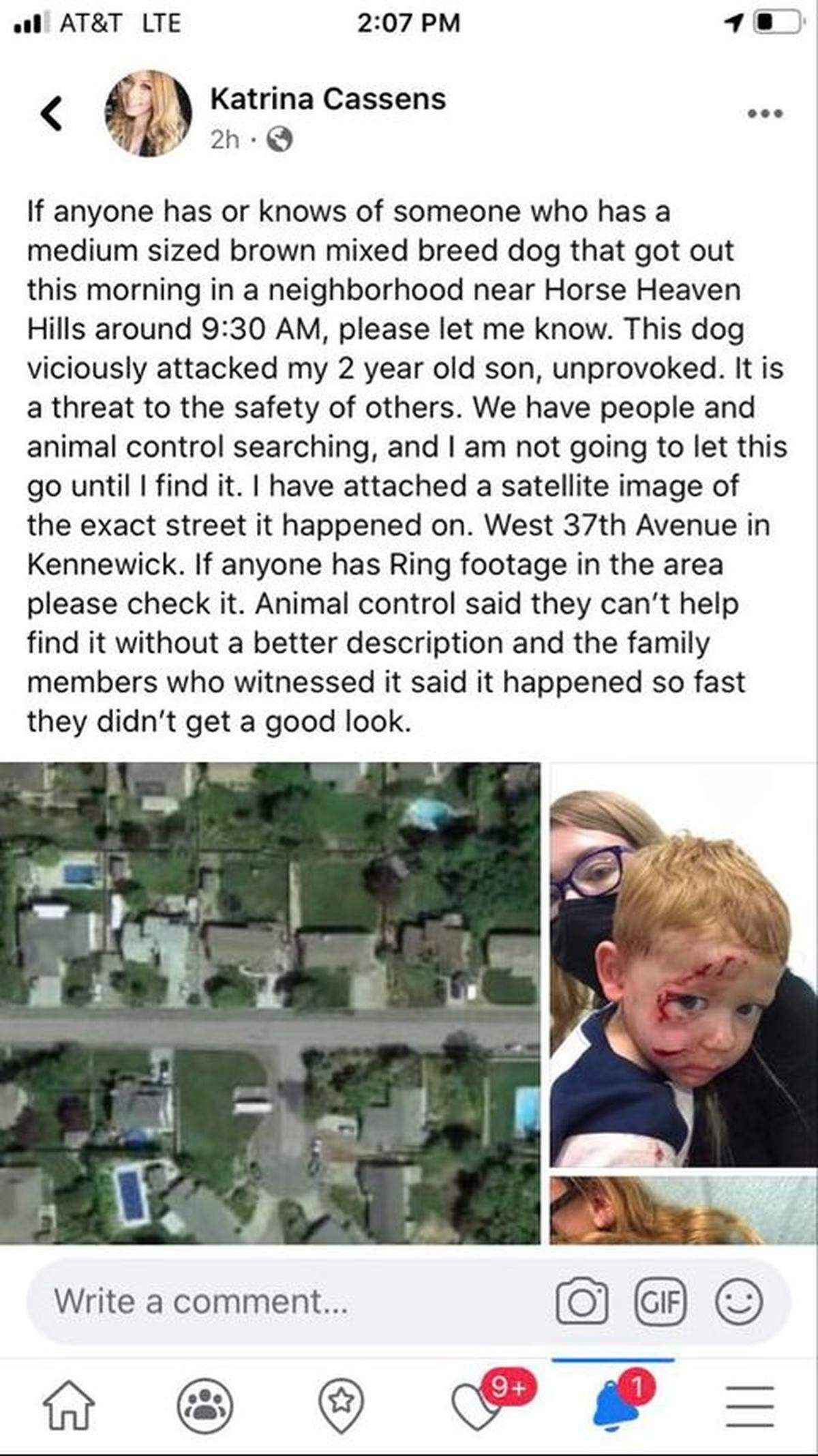 Katrina Cassens is asking for help to find a mixed-breed dog that attacked her son in Kennewick.