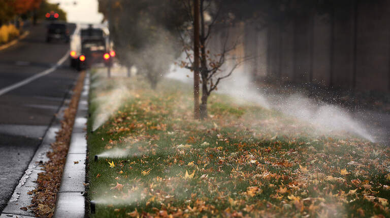 Freeze warning issued for Tri-Cities area. It could be a ‘season ending’ freeze