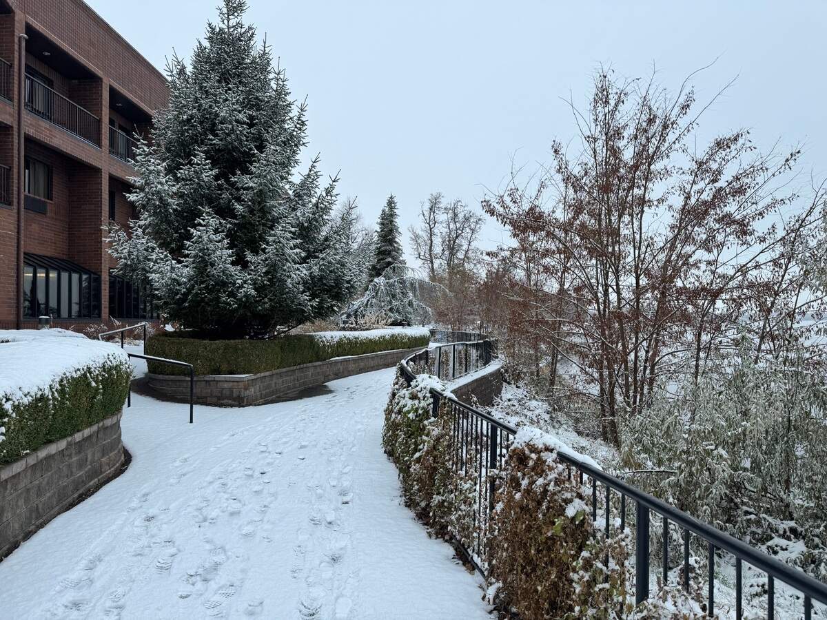 The Riverfront Trail in Richland is turned into a winter wonderland thanks to overnight and early morning snow ahead of annual Christmas festivities at nearby Howard Amon Park Dec. 1 and 2.