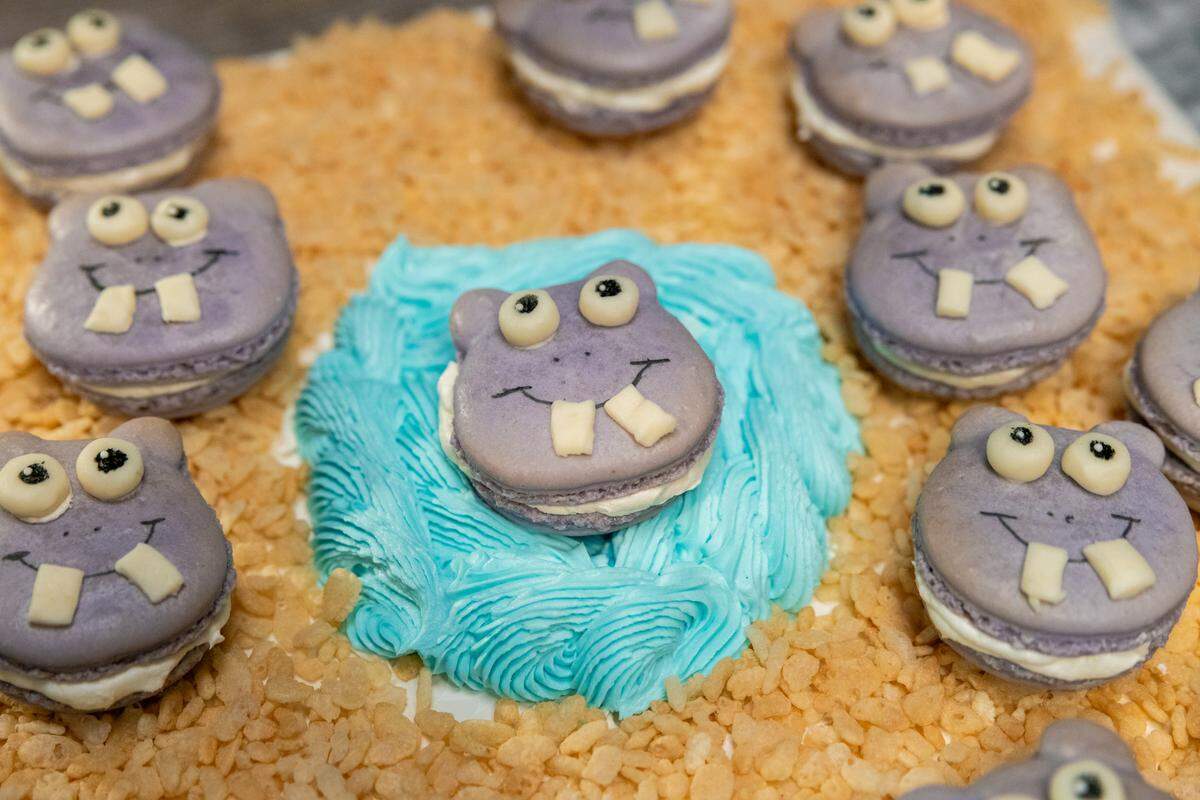 Contestant Jack Whalen’s dish, Hippo Macarons, as seen on Kids Baking Championship, Season 13.