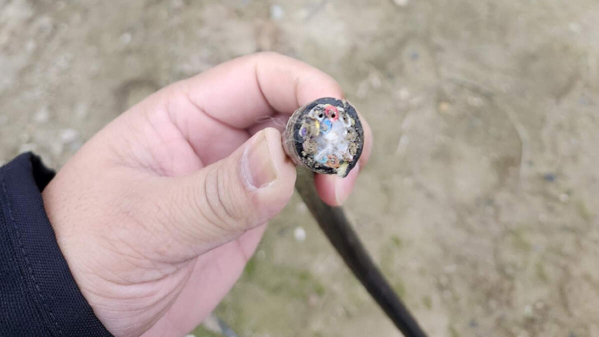 Fiber optic lines were intentionally cut by vandals, causing an outage for some customers in parts of Pasco.