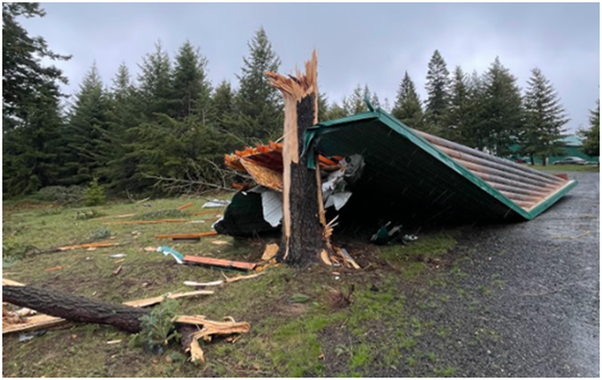 A roof was carried 300 feet by a tornado on Friday in the Blue Mountains of Oregon.