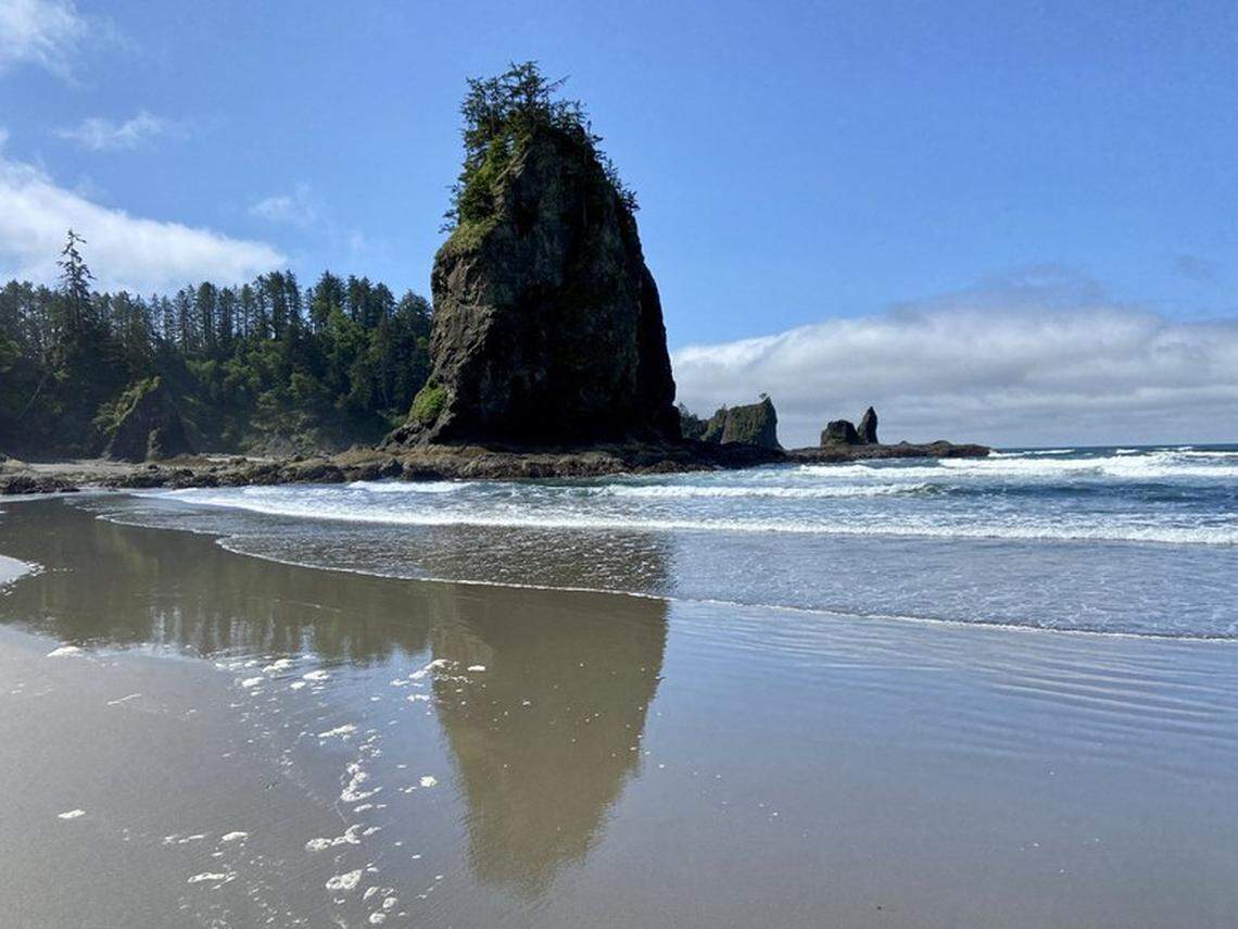 Photo of a Second Beach Seastack, courtesy of the Washington Trails Association.