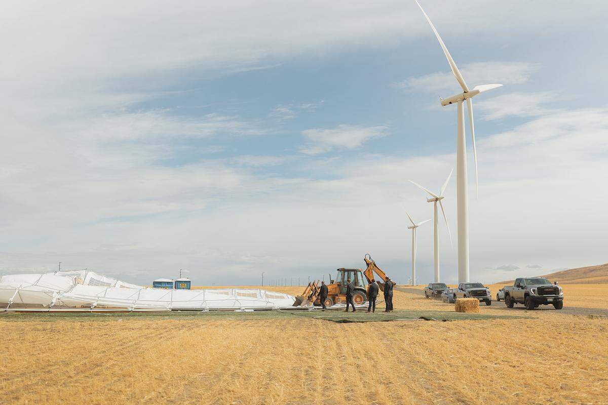 A 60-mph windstorm just before the wedding of Kaitlyn Thompson and Tyler Grant in a wheat field near Kennewick ruined weeks of work to prepare for the wedding with 250 invited.